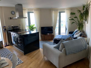 Lovely modern 2 bedroom apartment in Tankerton